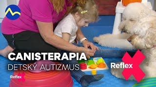 Canisterapia - terapia so psíkmi (detský autizmus) | Reflex