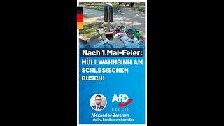 Müllwahnsinn am Schlesischen Busch