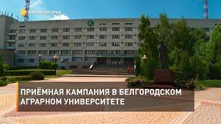 Приёмная кампания в Белгородском аграрном университете