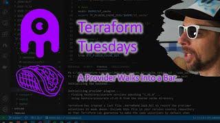 Terraform Provider Usage and Caching