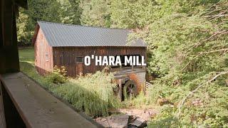 o'hara mill - a short film