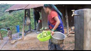 Myvillage official videos EP 1055 || Rural village life