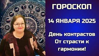 Гороскоп на 14 января 2025. Вы творец судьбы, и каждый выбор — это ещё один шаг на лестнице к успеху