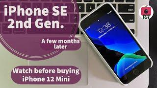 iPhone SE (2nd Generation) Six months later | Should you buy | Tridib Ghosh Tech