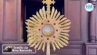 Coronilla a La Divina Misericordia, Viernes de testimonio 27-2024