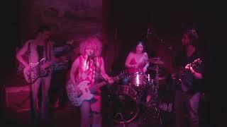 Witkin live at the Redwood Bar