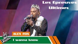 Alex Fox - I wanna know | Les Épreuves Ultimes | The Voice Afrique Francophone CIV