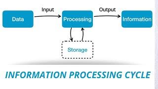 Information Processing Cycle | Introduction to IT | in Urdu/Hindi