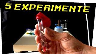 Die 5 besten Experimente für Zuhause! - Experimente zum Nachmachen #113