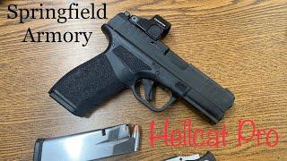 Springfield Armory Hellcat Pro - First Shots and Impressions