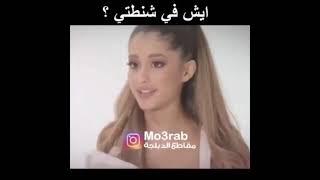 تشكيلة معرب