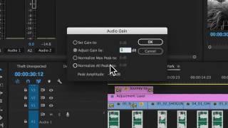 Premiere Pro CC 2017    Normalizing Audio Gain volume over multiple clips