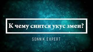 К чему снится укус змеи - Онлайн Сонник Эксперт