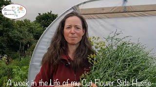 Growing Cut Flowers as a Side Hustle (A week in the Life)// Stems by Suzanne Cut Flower Garden