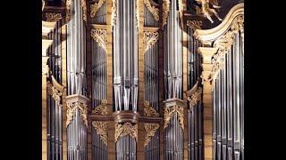 Domorganist - Perlen des Stiftsbezirk St. Gallen