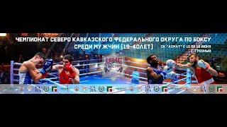 Чемпионат СКФО по боксу среди мужчин 19-40 лет. Грозный. День 2.