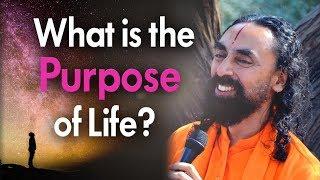 MIT Student Asks True Purpose of Human Existence | Swami Mukundananda