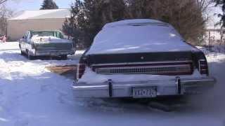 Cold Blooded 1978 Ford LTD