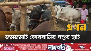 ক্রেতা-বিক্রেতাদের হাঁকডাক আর দর কষাকষিতে চলছে বিক্রি | Gorur Haat | Cattle Farm | Ekhon TV