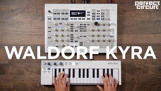 Waldorf Kyra Virtual Analog Synthesizer Sounds