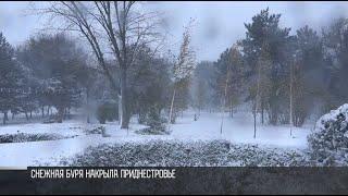 Снежная буря накрыла Приднестровье
