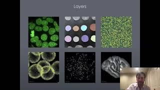 Nicholas Sofroniew: "napari: a Python multi-dimensional image visualization and analysis..."