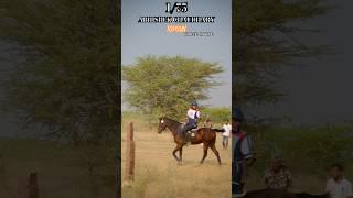 Abhishek Chaudhary  #abhishekchaudhary #equestrian #chaudhary #jodhpur #jaipurnews #rajasthan