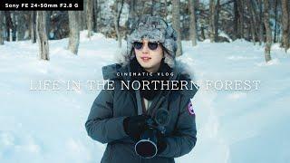 LIFE IN THE NORTHERN FOREST | Cinematic Vlog Shot on NEW Sony FE 24-50mm F2.8 G Lens