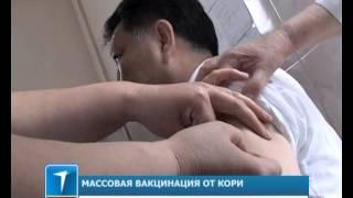 Массовая вакцинация от кори в Кыргызстане