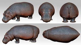 3Ds Max - hippo model