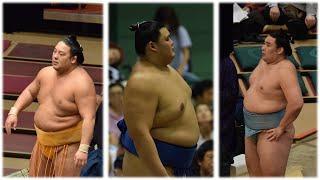 Kyokutaisei RETIRES; Kotozakura plots Yokozuna course; Oshoma marries (Sumo News, Dec 26th)