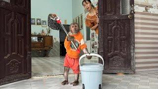 How smart ! Abu enlisted help Mom clean the house