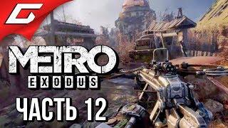 METRO: Exodus (МЕТРО: Исход)  Прохождение #12  ЛЕТО В ТАЙГЕ