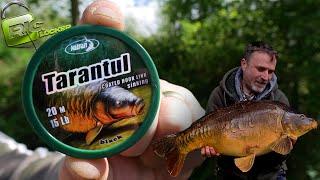 Carp fishing - A closer look at Katran's "Tarantal" Coated Braid.