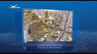 Зарок на Параскеву. Календарь губернии от 9 ноября