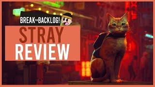 Stray is A Beautiful And Unique Experience