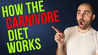 How The Carnivore Diet Works | Beginner's Guide