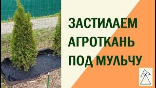 Как положить агроткань вокруг туи под мульчу?