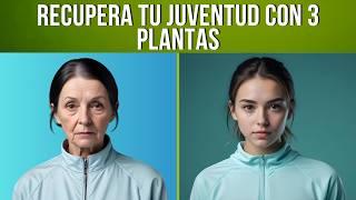  3 PLANTAS de la Juventud que te dan COLÁGENO y FAVORECEN tu PIEL