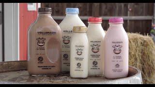 Volleman's Dairy