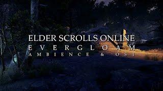 Elder Scrolls Online | Crows, Dark Forest, Abandoned Ruins 🙢 Evergloam Ambiance