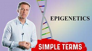 What Is Epigenetics: In Simple Terms - DNA Sequencing – Dr.Berg