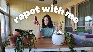 REPOT W/ ME Q&A! | settling into the new house, new planty places, and how to feel more at home