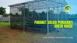 Bingung Cari Pengganti Plastik UV untuk Greenhouse? Paranet Solusinya!