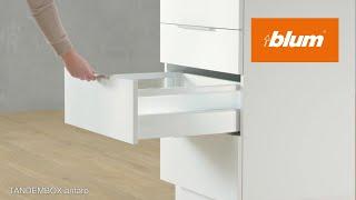 TANDEMBOX antaro: Box system with rectangular gallery | Blum