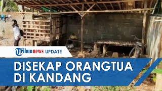 Bocah 10 Tahun Disekap Ayah dan Ibu di Kandang Kambing, Muka Korban Lebam dan Tangan kaki Terikat