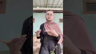 tik tok sma jilbab gunung gede