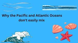 Why the Atlantic and Pacific oceans don't mix?