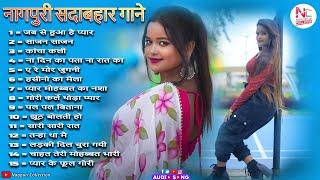 New Nagpuri Nonstop Song 2025 | Singer Ignesh Kumar | Gori Jab Se Huwa Hai Pyar | Suman Gupta #sadri