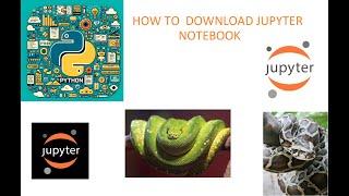 How to Download and Install Jupyter Notebook for Python Programming (Step-by-Step Guide)